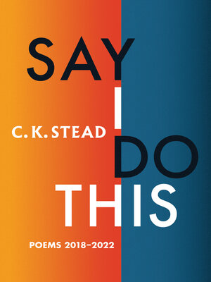 cover image of Say I Do This